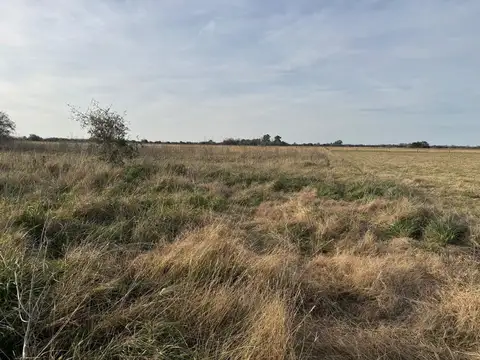 VENTA DE CAMPO EN ATALAYA MAGDALENA.