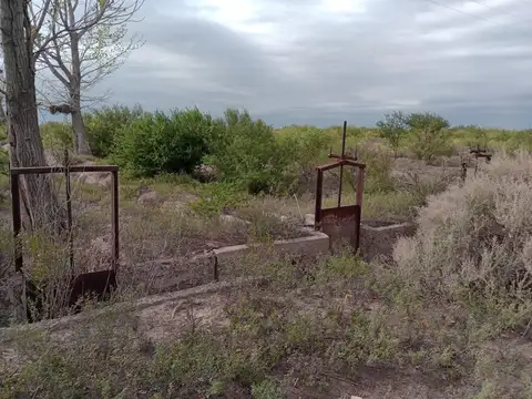 Campo en Venta de 161  ha