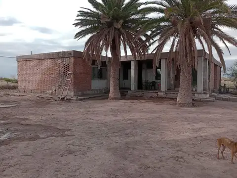 FINCA EN "LAS CATITAS", MENDOZA. 100% AGUA DE RIEGO