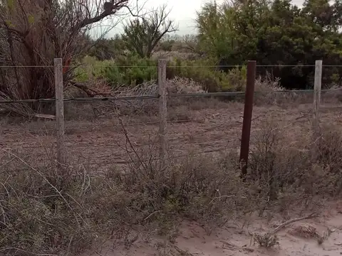 FINCA EN "LAS CATITAS", MENDOZA. 100% AGUA DE RIEGO