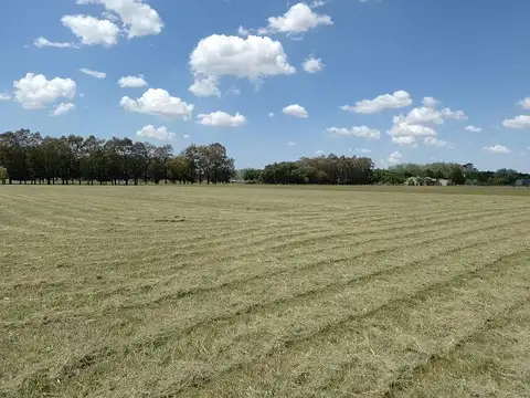La Macarena