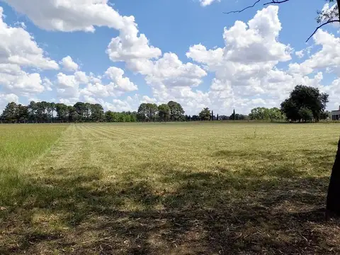 Lote en venta de 1 hectárea en Estancia de La Macarena.
