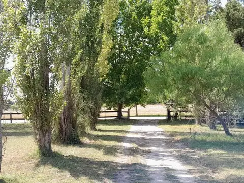 Ruta Provincial 20 100