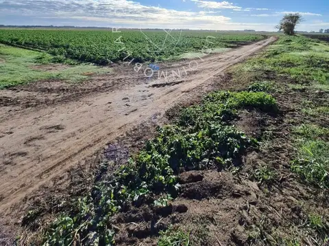 VENTA CAMPO GENERAL LAGOS ZONA GENERAL MOTORS