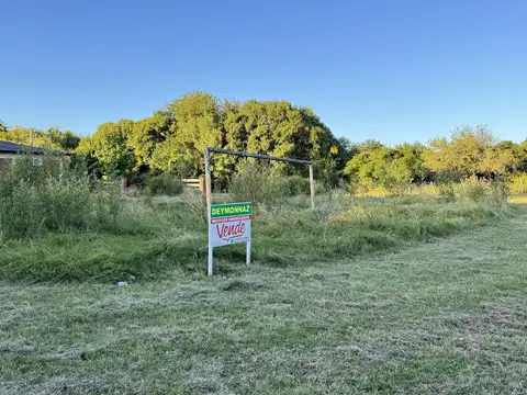 Terreno en Venta 39  mts Fondo