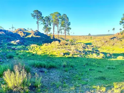 Terreno en Venta de 27.000m2 en Villa Yacanto, Córdoba
