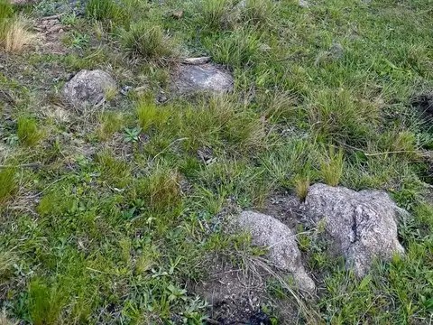 Terreno en Venta de 27168,0 m2