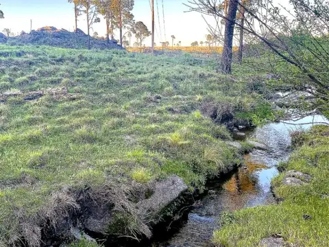Terreno en Venta de 27168,0 m2