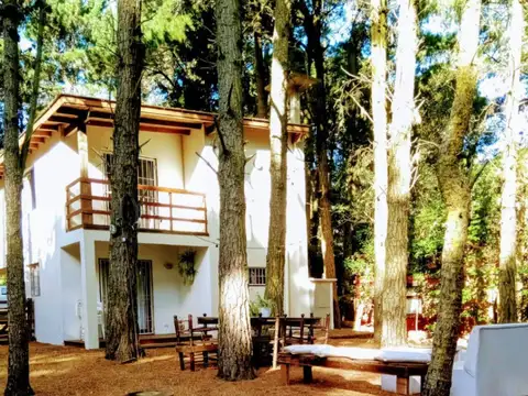 Alberto Williams y Los