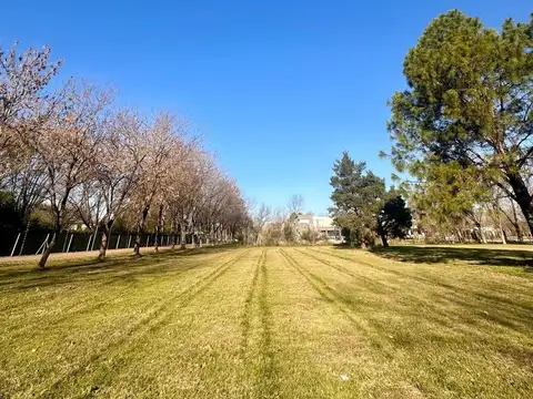Terreno en Venta de 3016,0 m2