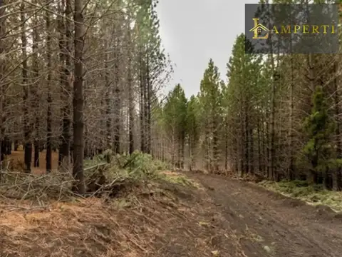 Terreno en Venta de 800,0 m2
