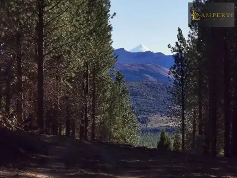 Terreno en El Remanso