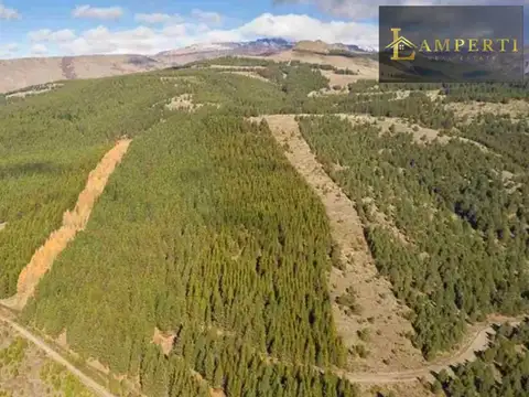 Terreno en Venta en San Martín de los Andes, USD 40.000