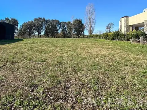 Ruta 4 kilometro 3.5