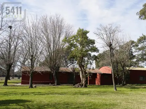  OPORTUNIDAD VENTA DE CHACRA DE 7 HA EN SAN MIGUEL DEL MONTE, CAMINO DE LOS EUCALIPTUS 
