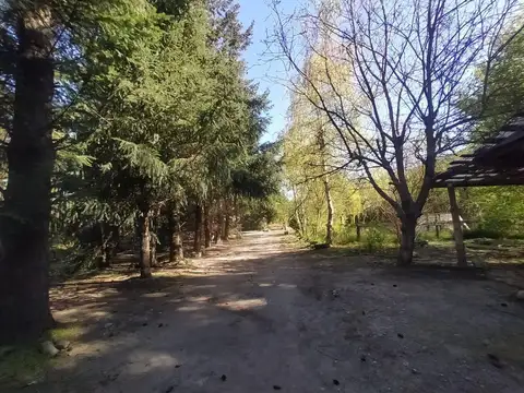 Avenida Libertad y Avenida De Las Flores