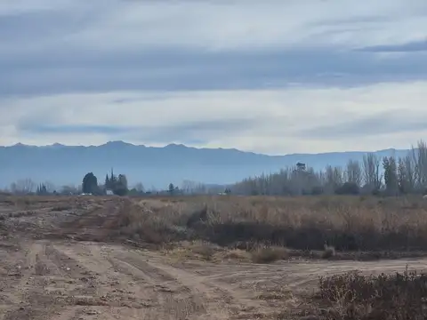 Terreno en Venta calle Maza, Maipú