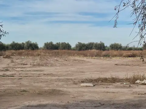 Terreno en Venta calle Maza, Maipú