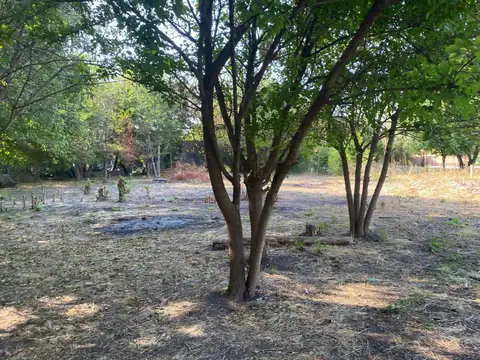 Terreno en Venta en 20 de Junio, USD 50.000