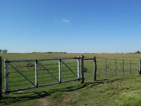 Ruta 18 Rolon - La Pampa