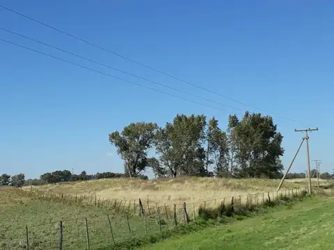 Lotes en Venta Ruta 18 Rolon - La Pampa