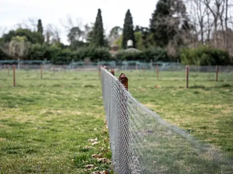 Santiago davobe 1700