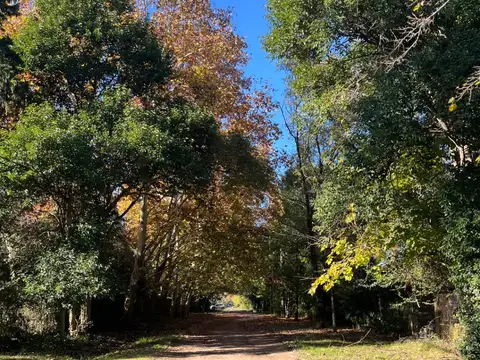 Terreno En Parque Peró #