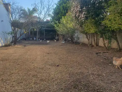 Terreno en Venta de 299,0 m2