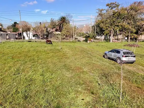 Ricardo Gutierrez 8900