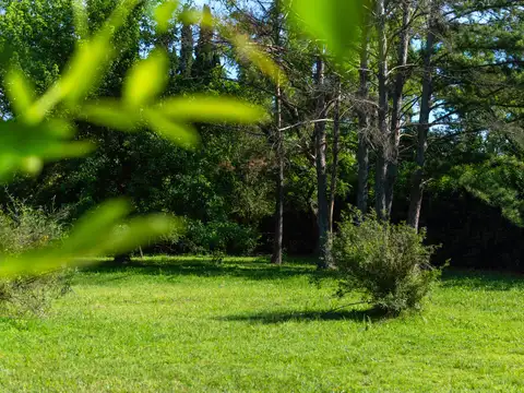 Terreno en Venta 20  mts Frente