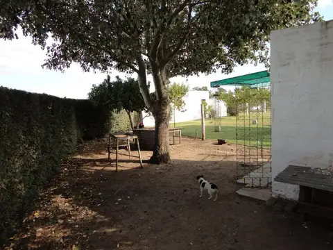 Fighiera, Campo de 2 hectareas, casa de un dormitorio