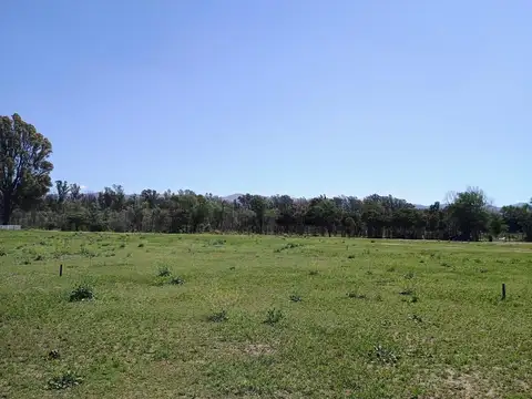 Ruta Provincial C45  al 200