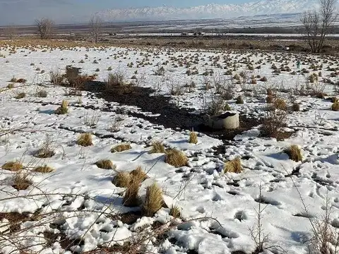 La Carrera, Tupungato
