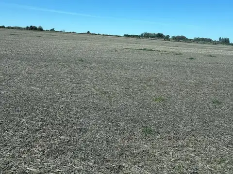 470 Hectáreas Agrícolas En Hernández