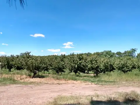 Galpon en Alquiler 30 años