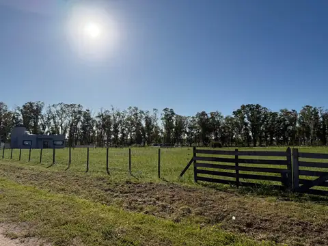 Terreno en Venta 50  mts Frente