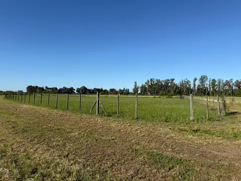 Terreno lote en venta en chacras San Andres - Villa Ruiz - San Andres de Giles