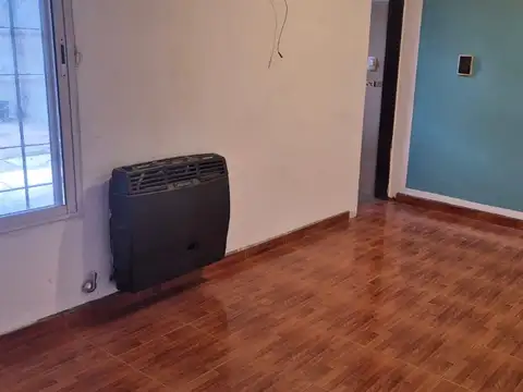 Leonismo Argentino al 1500