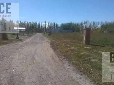 Terreno en Venta en Cipolletti, USD 68.000