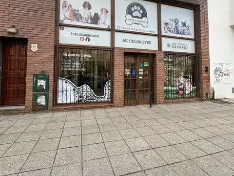 Avenida Colon Y Dorrego