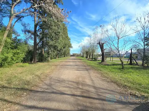 Aráoz 6249
