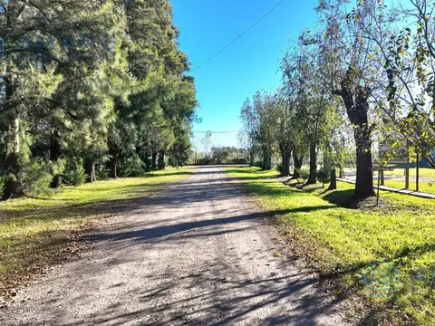 Aráoz 6249