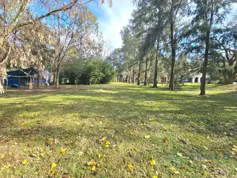 Aráoz 6249