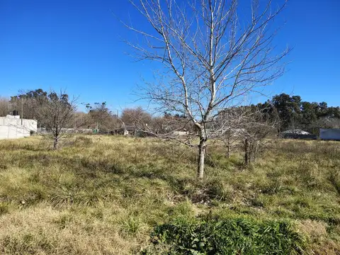 calle Fenix entre El Ceibo y El Cardo Azul