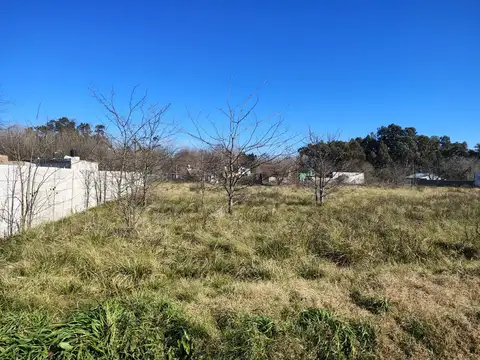 VENTA LOTES DOMSEELAR SIN EXPENSAS SAN VICENTE