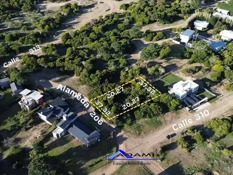 Alameda 206 Bis