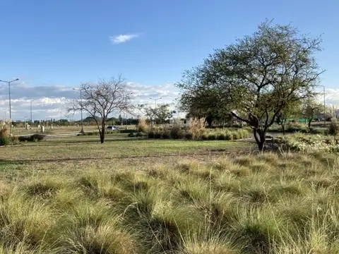 Terreno en Venta en Zona Sur, USD 19.999