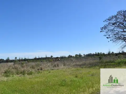 Terreno en Venta en Concordia, USD 70.000