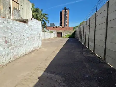 av centenario 600
