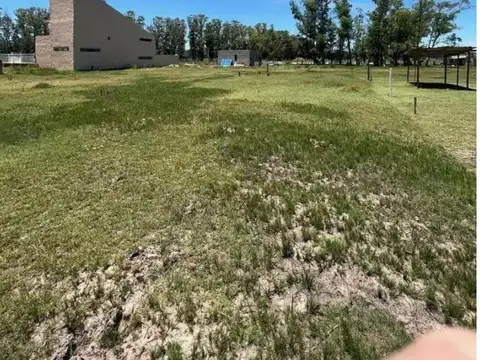 Terreno En Venta Financiado En Villa Ruiz 242 M2.